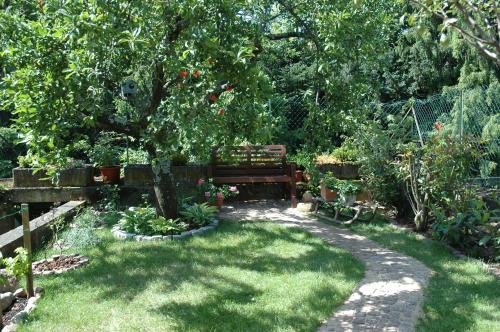 Ribeauville Bed & Breakfast | Mirabelle Bed & Breakfast