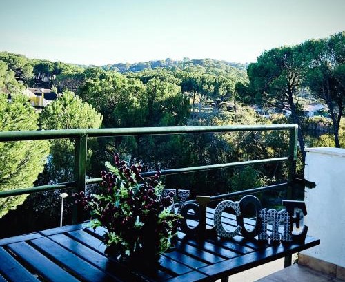 Las Jaras House | Mirador del Lago