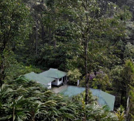 Devikolam Hotel | Mist Nest Cottages Munnar
