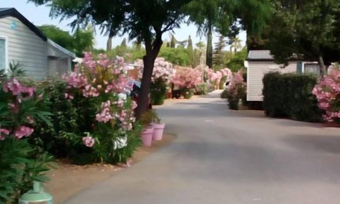 Vic-la-Gardiole House | MOBILE HOME With a view of the Occitan vineyards