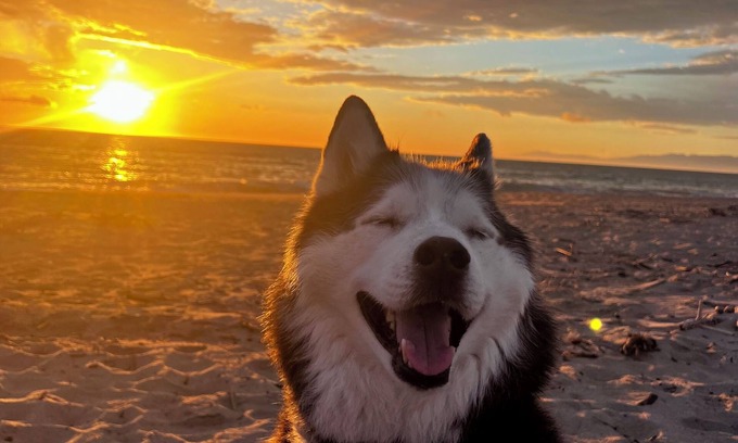 Oxnard Shores House | Modern beach house pet friendly