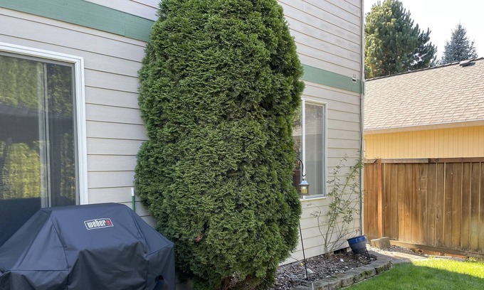 South Hill House | Modern Home in Puyallup WA