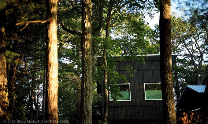 Fairview Apartment | Modern Studio w/Stunning Views & Treehouse Feel