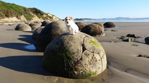 Hampden Hotel | Moeraki Boulders Motel