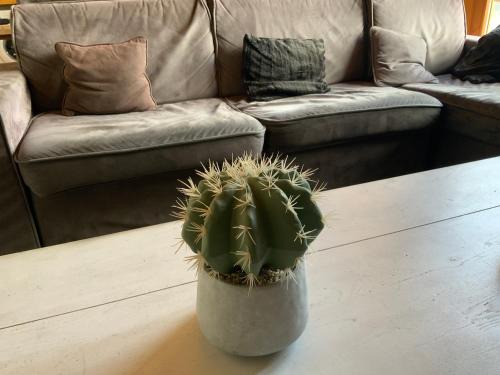 Peisey-Nancroix Apartment | Mont Blanc