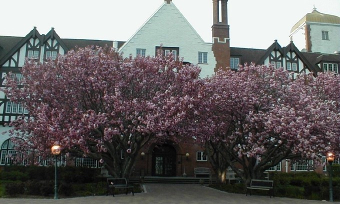Montauk Apartment | MONTAUK MANOR-DELUXE STUDIO APARTMENT
