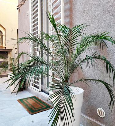 Picanello-Ognina-Barriera-Canalicchio Apartment | Morgana Luxury Apartment