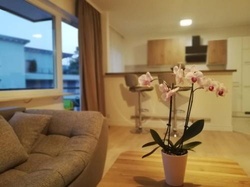 Baden-Baden Apartment | Moscow Areal Suite