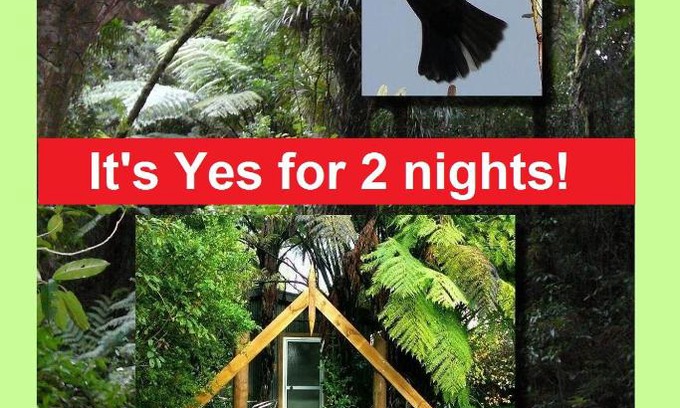 Ohauiti Bed & Breakfast | Mount Tutu Eco-Sanctuary