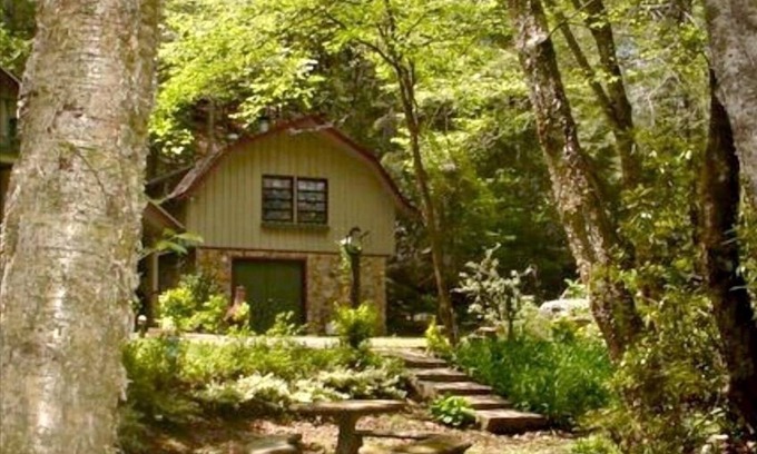 Robbinsville Cabin | -Mountain Cabin at the Waters Edge with WIFI