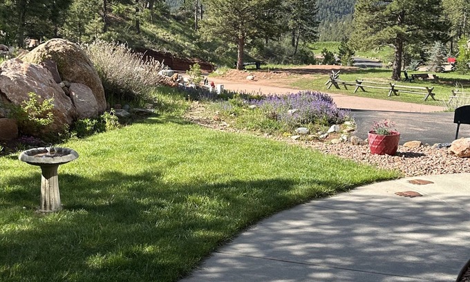 Woodland Park House | Mountain Glen Vista - incredible Pikes Peak view! License # 331228