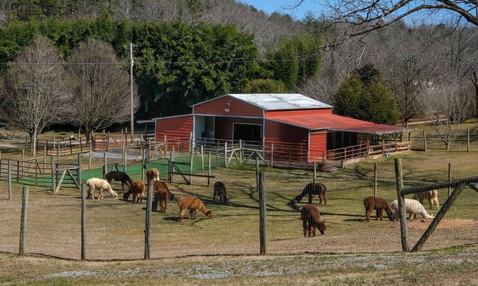 Murphy Cabin | *MUST SEE* Cobb Creek Cabins at the Historic Cobb Family Estate