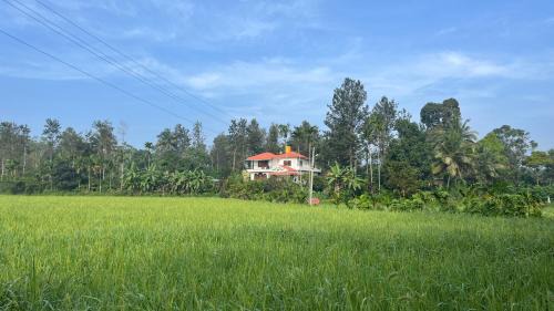 Siddapura House | Mynas Nest Riverside Homestay