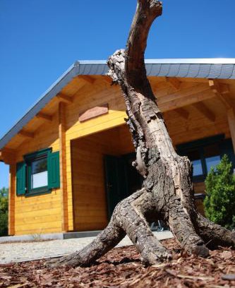 Senftenberg House | mySeenland