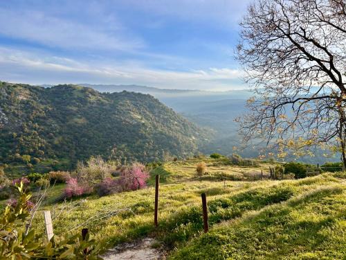 Miramonte House | Mystic Mountain Retreat