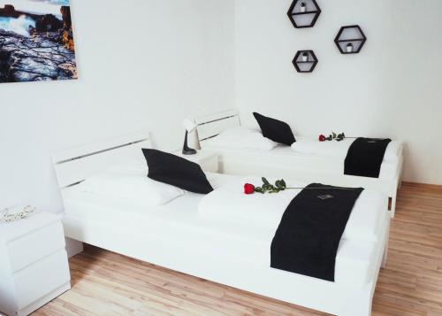 Mitte Apartment | NÜRNBERG Wohnung