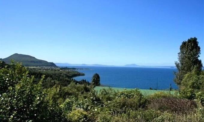 Pukawa Cottage | Nestled Atop the Lane - Pukawa Bay Holiday Home