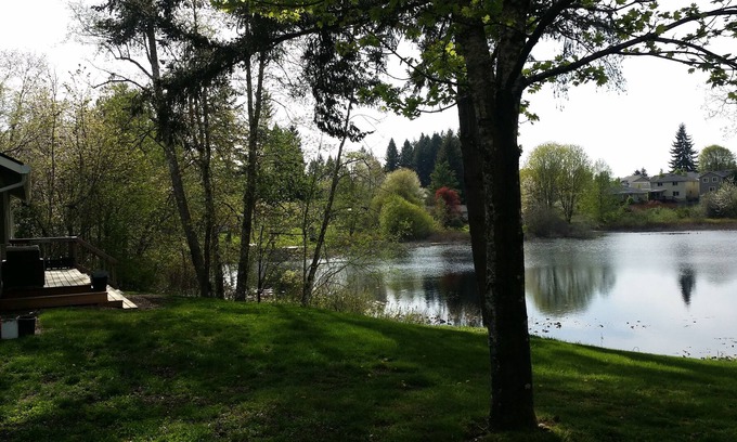 Olympia House | New, 2017 green built home on acre of wooded, private, intimate, lakefront.
