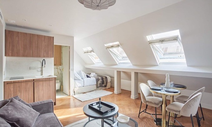 Hopital Saint-Louis Condo | New apartment Center of Paris/Le Marais