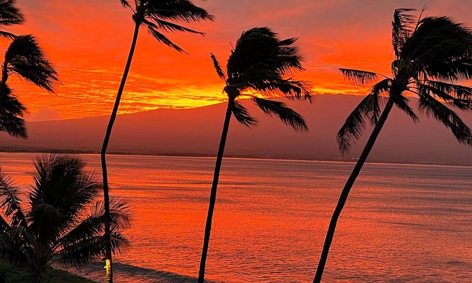 Maalaea Condo | NEW DIRECT OCEANFRONT Paradise South Side Retreat! Quiet, Peaceful, Beachfrontn