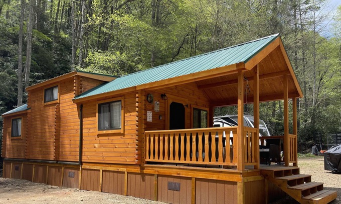 Mountain City Apartment | New I Mountain Cabin beside a Fresh Water Spring Creek I 5 min to Doe Mountain Rec Area