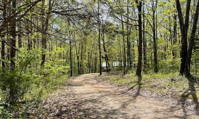 Seligman House | New!No cleaning fee! Pvt. Ozark Home @Roaring River Park. Near Eureka Springs AR