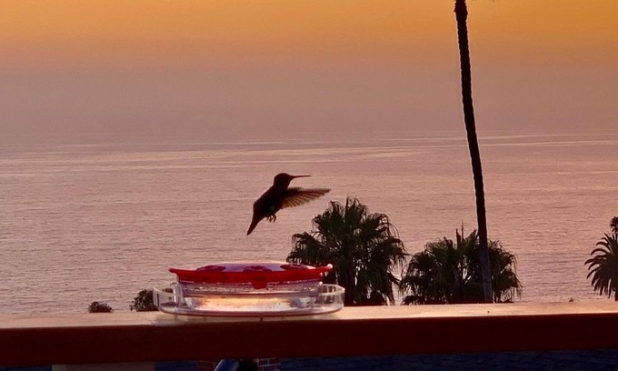 Three Arch Bay House | NEW Stunning Ocean Views in Quiet Laguna Beach, 4 Min Walk to Beach-JULY Special