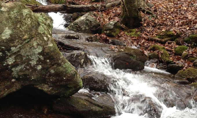 Cleveland Cabin | Newly added king bed, washer & dryer & updated bath! License # 002982