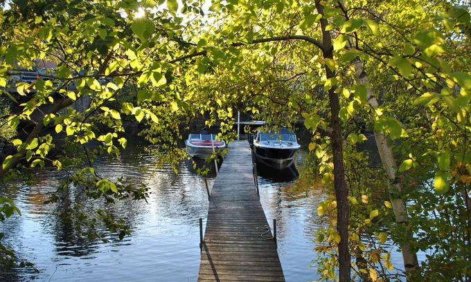Holderness Cottage | Newly Renovated & Centrally Located Curry Cottage on Squam Lake!
