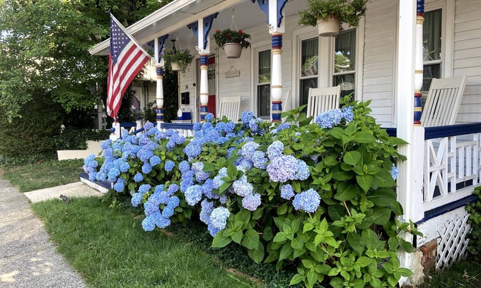 Ocean Grove Apartment | Newly renovated cheery 1BR vacation rental with private outdoor deck!
