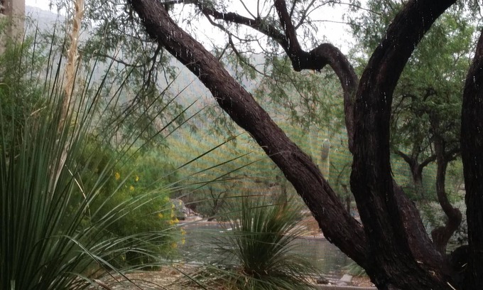 Tucson Condo | Newly updated comfort in the desert foothills. Perfect hiking area.