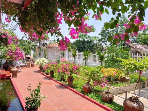 Ninh Binh House | Nha Xanh Homestay