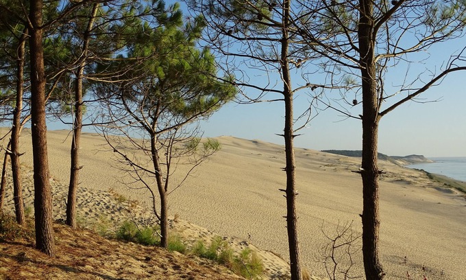 Tresses Bed & Breakfast | NICE ACCOMMODATION INDEPENDENT ENTRANCE NEAR BORDEAUX