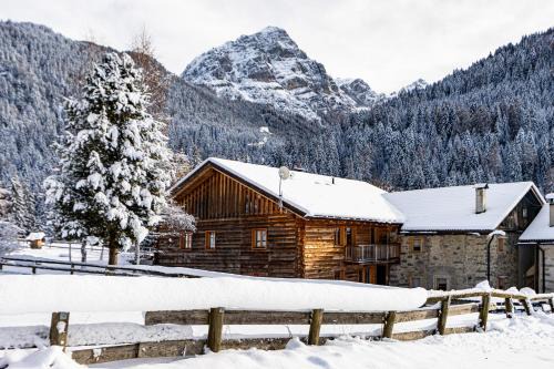 Casetti Apartment | Nido del Brenta