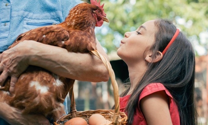 Cary Cottage | NO CLEANING FEE! - Longer Stay Discounts! Backyard Chickens!