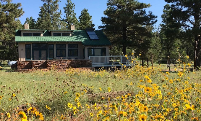Flagstaff Cottage | NO PHONE, NO POOL, NO CIGARETTES, nNEAR ARIZONA TRAIL, FOREST ADJACENT