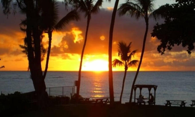 Haleiwa Condo | North Shore Beachfront Condominium 30 day rental period