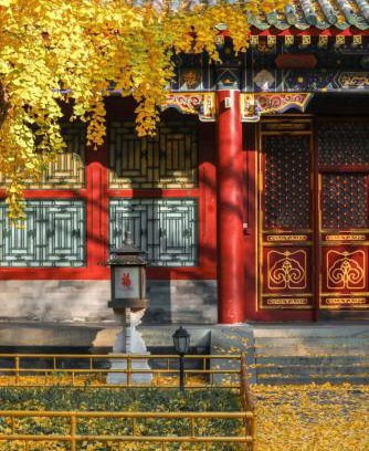 Xicheng Hotel | Nostalgia Hotel Beijing Prince Gong's Mansion 时光漫步酒店北京恭王府平安里地铁站店 Free fresh ground coffee ,Free laundry service