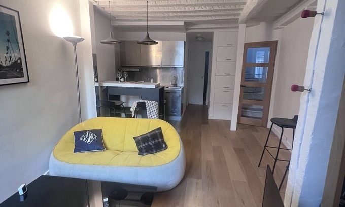 Notre Dame Apartment | Notre Dame, 53sqm rooftop duplex, A/C, 6 direct metro lines to Olympic Games