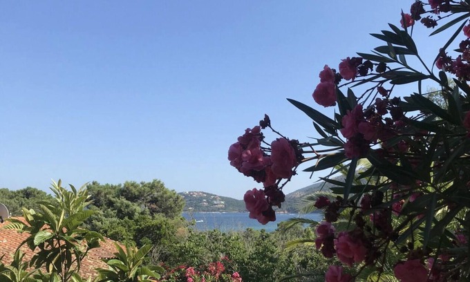 Lecci Villa | Nouvel Appartement U Benedettu