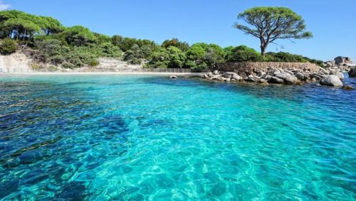 Santa-Maria-Poggio Apartment | NOUVEL LOCATION d'un Bel appart T2 climatisé et meublé au RDCh avec piscine dans residence les Melody