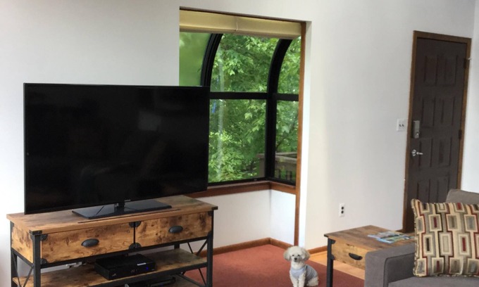 Vernon Condo | Number 2 Updated Ski On Ski Off, 4 Season Resort, Scenic Location