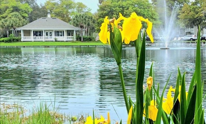 Demere Park Condo | O1 Two BR townhome in Ocean Walk with 1 king, 1 queen bed. Recently updated.