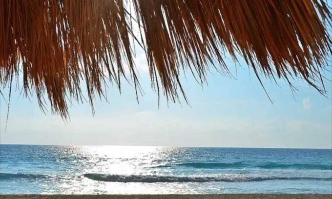 Zona Hotelera Condo | Ocean Front Roomy Caribbean Condo
