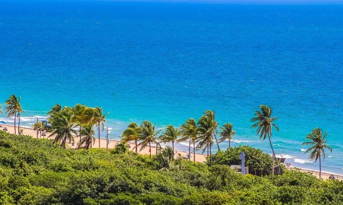 Birch Park Finger Streets Condo | Ocean View Fort Lauderdale Beach Condo, Great central location