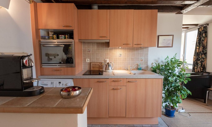 Jardin des plantes Apartment | Old Stones, Wooden Beams, View on Ancient Paris Lutecia, Latin Quarter