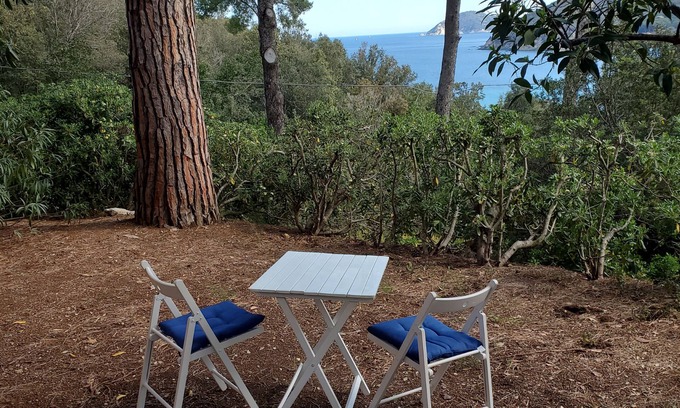 Procchio House | Olive house
