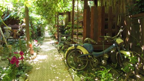 Olympos House | Olympos Natural Pansiyon