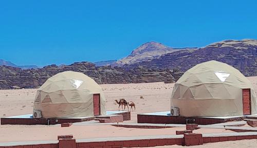 Wadi Rum Hotel | Omar Ali Luxury Camp