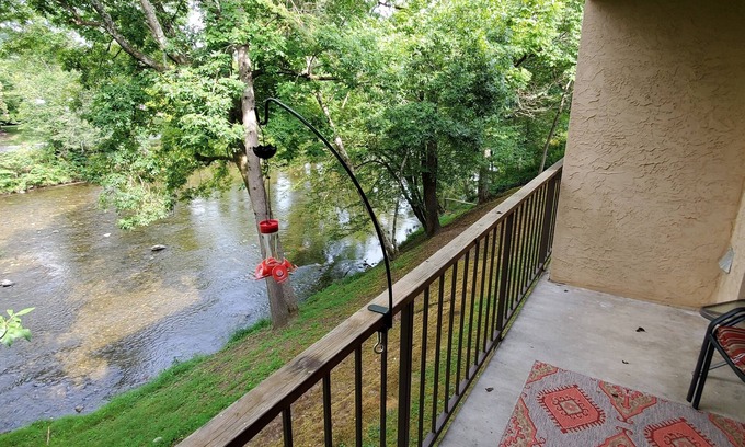 Townsend House | On the Little River in the heart of Townsend, with a beautiful view!